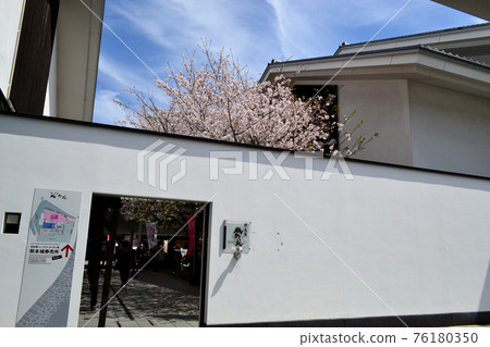 熊本城:櫻花盛開的櫻花馬場“城彩園” 熊本城:櫻花盛開的櫻花馬場“城彩園” 76180350