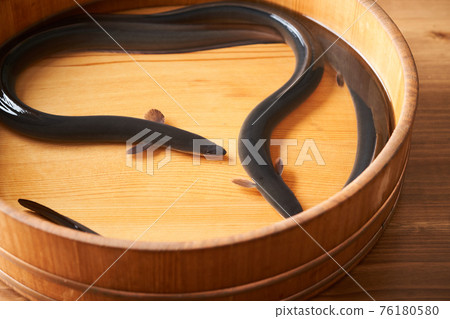 活動鰻魚 活動鰻魚 76180580