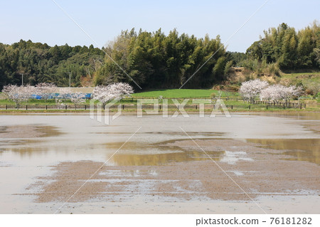 Rural landscape 76181282