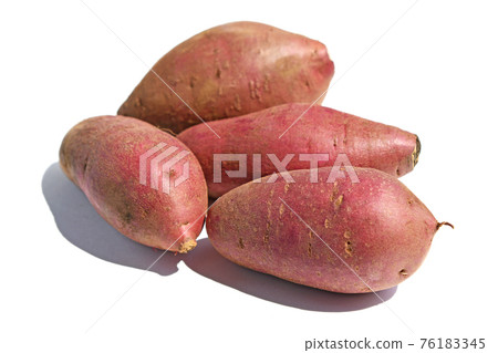 紅薯(Amayu) 紅薯(Amayu) 76183345