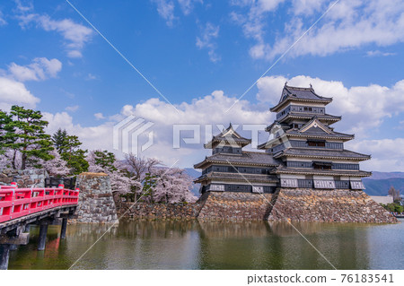 (Nagano) National treasure Matsumoto Castle Cherry blossom season 76183541
