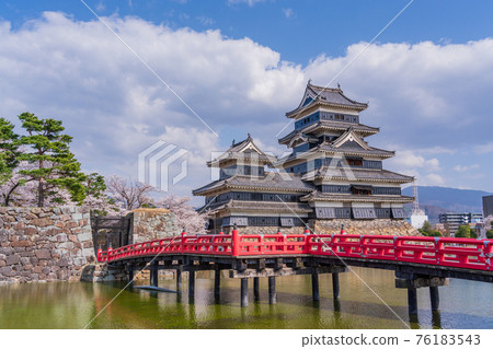 (Nagano) National treasure Matsumoto Castle Cherry blossom season (Nagano) National treasure Matsumoto Castle Cherry blossom season 76183543