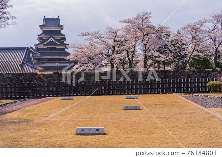 （長野縣）從二之丸宮遺址看到的松本城櫻花季 76184801