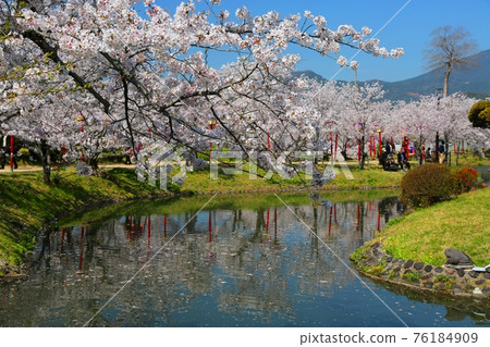 小木公園櫻花盛開 76184909