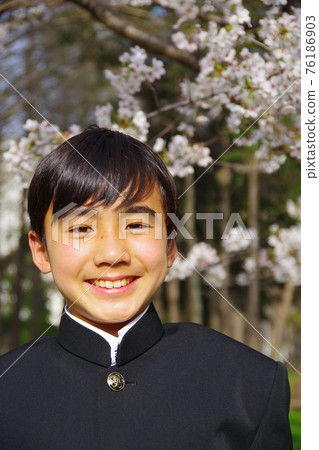 Entrance ceremony, students in uniform, cherry blossom season, graduation ceremony 76186903