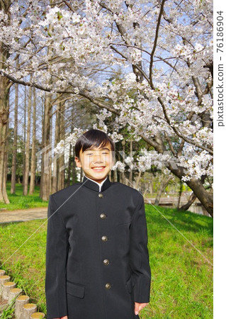 Entrance ceremony, students in uniform, cherry blossom season, graduation ceremony 76186904