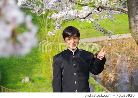 Entrance ceremony, students in uniform, cherry blossom season, graduation ceremony 76186926