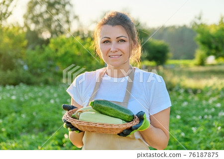 Woman farmer in apron gloves with basket of fresh zucchini 76187875