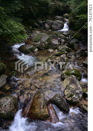 繩紋雪松路線，屋久島，鹿兒島 76187923