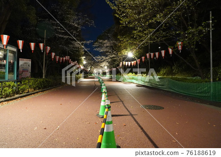 A row of cherry blossom trees in Ueno Onshi Park, where banquets are prohibited due to the influence of the new coronavirus and traffic is restricted. A row of cherry blossom trees in Ueno Onshi Park, where banquets are prohibited due to the influence of the new coronavirus and traffic is restricted. 76188619