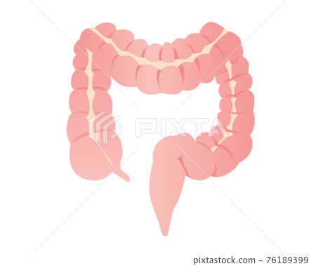 Illustration of intestine 76189399