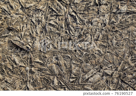 Background texture of plants frozen in ice 76190527