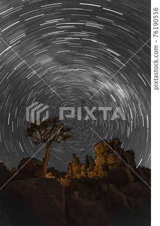 Star trails circle over quivertrees 76190556
