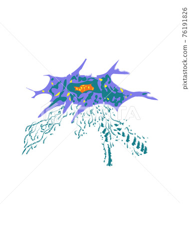 Fibroblast is a dermis cell. Structure of Fibroblast cell,detailed structure of Human. human organ and anatomy concept ,collagen 76191826