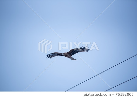 在天空中跳舞 76192005