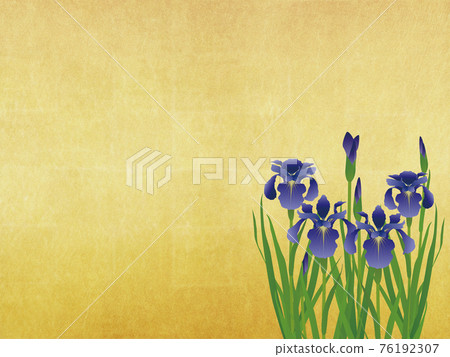 鳶尾金箔背景素材 76192307