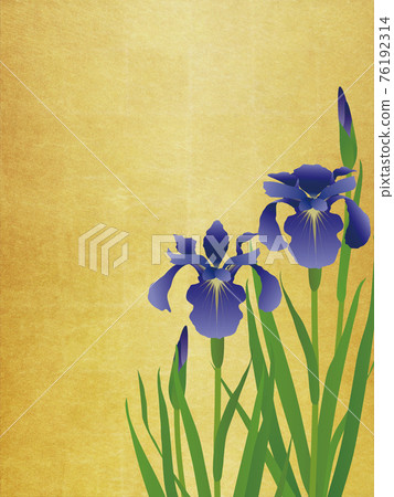 鳶尾金箔背景素材 鳶尾金箔背景素材 76192314
