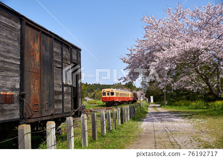 Spring Kominato Railway Sakura and Retro Freight Train Satomi Station 76192717