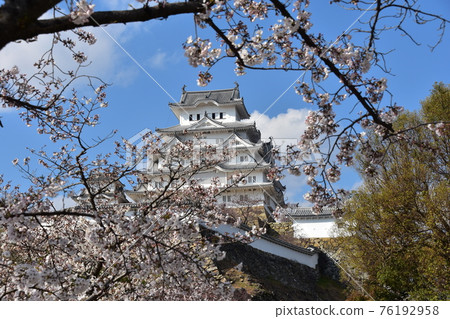 日本兵庫縣姬路市姬路城，世界遺產和國寶，春天的櫻花，藍天和宏偉的城堡塔 76192958