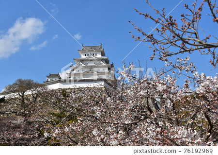 Himeji City, Hyogo Prefecture, Japan Himeji Castle, a World Heritage Site and a national treasure, spring cherry blossoms, blue sky and a magnificent castle tower Himeji City, Hyogo Prefecture, Japan Himeji Castle, a World Heritage Site and a national treasure, spring cherry blossoms, blue sky and a magnificent castle tower 76192969