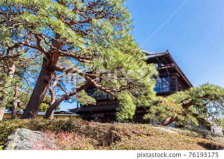 Pine and Rinkokaku 76193175