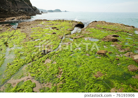 退潮時出現藍藻的西海岸 退潮時出現藍藻的西海岸 76193906