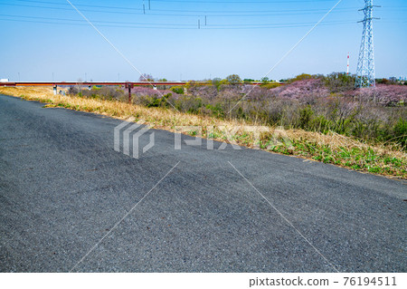 櫻莊公園附近，從荒川上游的荒川岸往秋瀨橋方向眺望 76194511