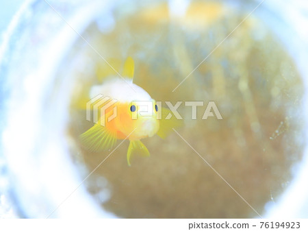 I live in a studio house! 76194923