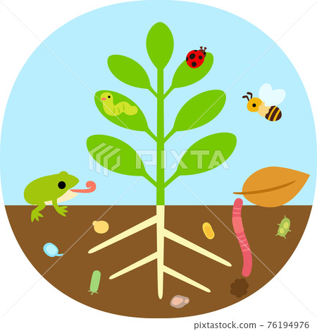 Plants and insects and microorganisms 76194976