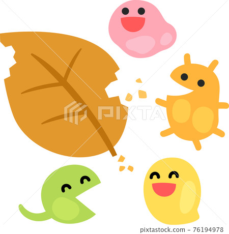 分解落葉的微生物特性 76194978