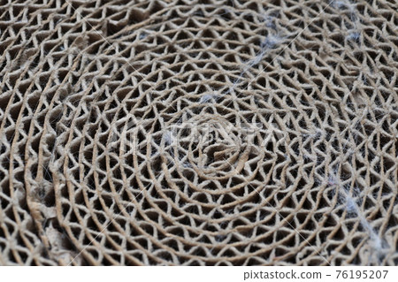 貓爪表面特寫 76195207