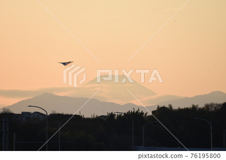 Mt. Fuji and birds Yokohama Mt. Fuji and birds Yokohama 76195800