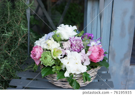 各種春花的圓形排列 各種春花的圓形排列 76195935