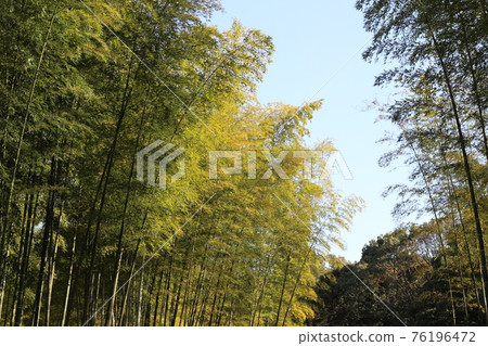 Expo'70 Commemorative Park Scenery in the park Osaka Prefecture Expo'70 Commemorative Park Scenery in the park Osaka Prefecture 76196472