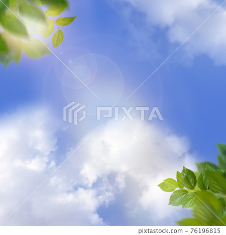 Refreshing background of sky and leaves-there are multiple variations Refreshing background of sky and leaves-there are multiple variations 76196815