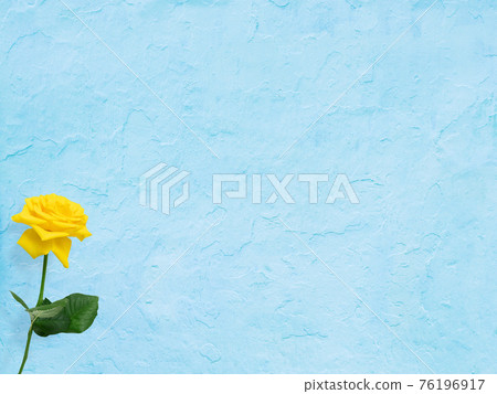 Yellow roses and refreshing blue background-there are multiple variations 76196917