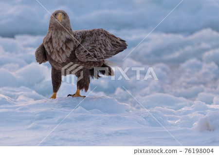 知床冬天 76198004