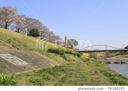 千葉縣流山市春音運河 千葉縣流山市春音運河 76198203