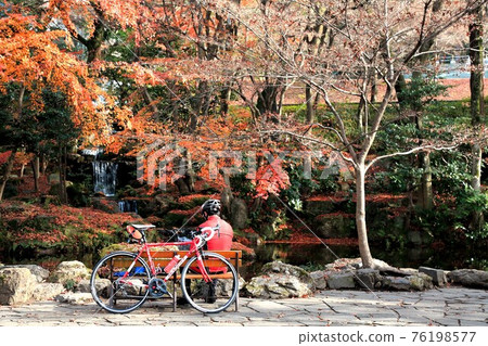 岐阜的秋天（岐阜公園），3（岐阜縣岐阜市） 76198577