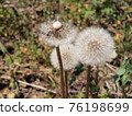 hope 76198699