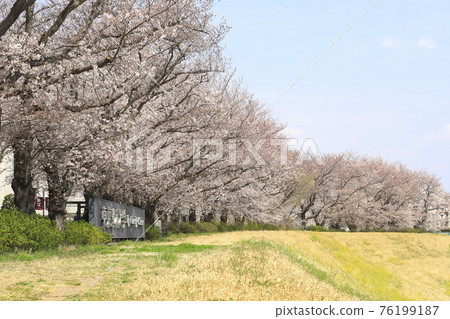 東京理科大學野田校區 Spring Tone Canal 76199187