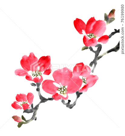 花樹 花樹 76199980