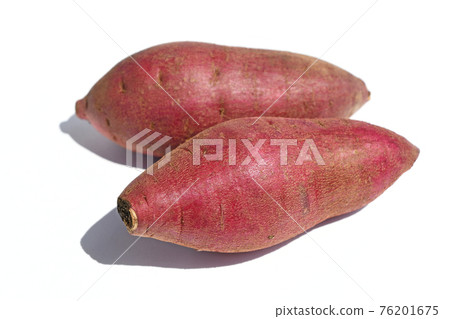 紅薯（Amayu） 76201675