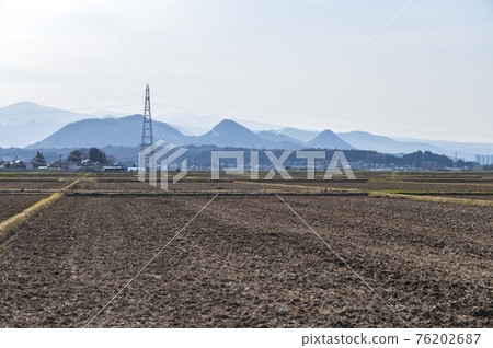 Local landscape 76202687