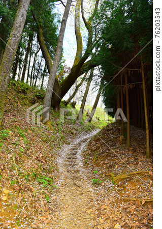 Uda Matsuyama Castle [Continued Top 100 Japanese Castles] 76203543