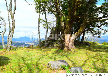 Uda Matsuyama Castle [Continued Top 100 Japanese Castles] 76203604