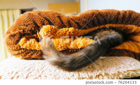 Cat's tail jumping out of cat bedding Cat's tail jumping out of cat bedding 76204133