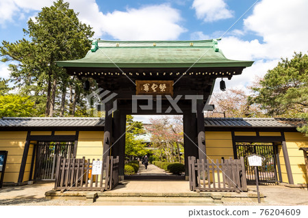 (Tokyo-landscape) Spring Gotokuji mountain gate scenery 1 76204609