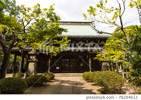 (東京-風景) 春天五德寺佛堂風景1 76204612
