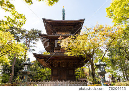 (東京-風景)藍天和豪德寺三重塔風景2 76204613